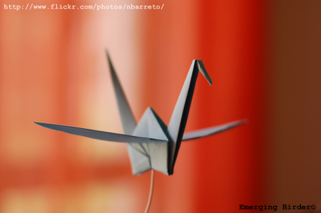 tsuru